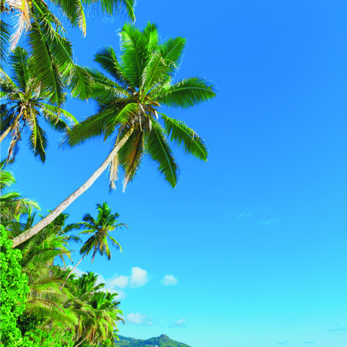 88 %282500x1800%29